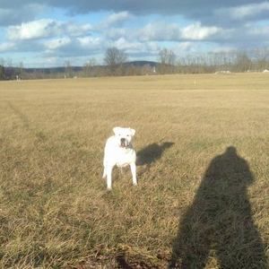 Meet your Posher, Larry